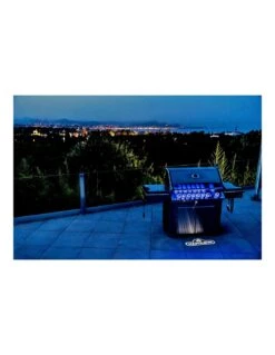 Napoleon Barbecue à Gaz Prestige 665 Inox