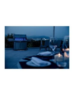 Napoleon Barbecue à Gaz Prestige Pro 665-3 Avec Housse Offerte -Grillissimo Magasin barbecue a gaz prestige pro 665 3 avec housse offerte 4