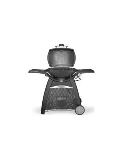 Weber Barbecue à Gaz Q 3200 Noir Avec Chariot Et Lampe -Grillissimo Magasin barbecue a gaz q 3200 noir avec chariot et lampe 3