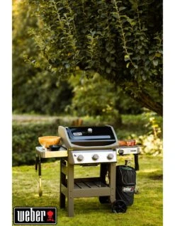 Weber Barbecue à Gaz Spirit II E-310 Noir Avec Plancha -Grillissimo Magasin barbecue a gaz spirit ii e 310 noir avec plancha 12