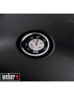 Barbecue à Gaz Weber Q 1200 Noir Avec Tablettes -Grillissimo Magasin barbecue a gaz weber q 1200 noir avec tablettes 11