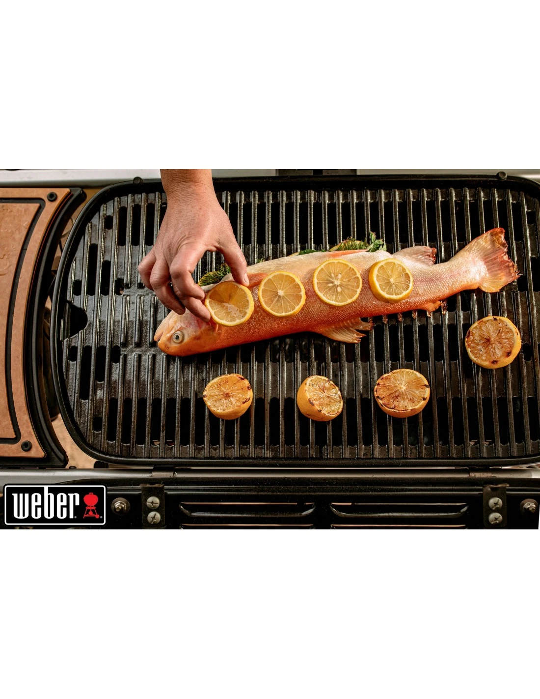 Barbecue à Gaz Weber Traveler Noir Avec Chariot 13 Barbecue à Gaz Weber Traveler Noir Avec Chariot – Image 11