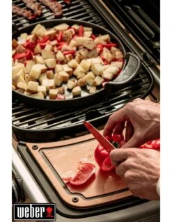 Barbecue à Gaz Weber Traveler Stealth Noir Avec Chariot Noir -Grillissimo Magasin barbecue a gaz weber traveler stealth noir avec chariot noir 9