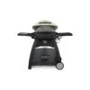 Barbecue Weber à Gaz Q 3000 Titane Avec Chariot 1 Barbecue Weber à Gaz Q 3000 Titane Avec Chariot -Grillissimo Magasin barbecue weber a gaz q 3000 titane avec chariot