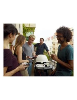 Barbecue Weber à Gaz Q 3000 Titane Avec Chariot -Grillissimo Magasin barbecue weber a gaz q 3000 titane avec chariot 6