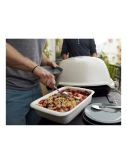 Barbecue Weber à Gaz Q 3000 Titane Avec Chariot -Grillissimo Magasin barbecue weber a gaz q 3000 titane avec chariot 7