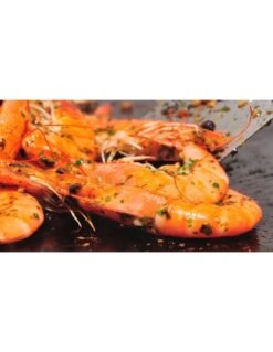 Chariot Pour Plancha Modern CHMIF 75 Inox - Forge Adour -Grillissimo Magasin chariot pour plancha modern chmif 75 inox forge adour 2