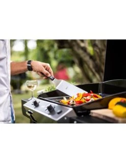 ENO Combo Plancha Chambord 60 Inox Avec Chariot -Grillissimo Magasin combo plancha chambord 60 inox avec chariot 4