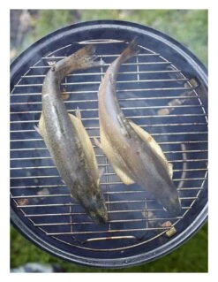 Weber Fumoir Barbecue Smokey Mountain Cooker 47 Cm Noir à Charbon 19 Weber Fumoir Barbecue Smokey Mountain Cooker 47 Cm Noir à Charbon -Grillissimo Magasin fumoir smokey mountain cooker o47 cm noir 6