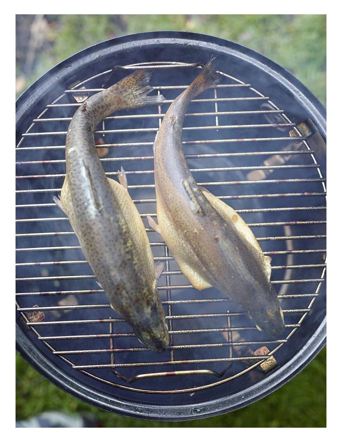 Weber Fumoir Barbecue Smokey Mountain Cooker 47 Cm Noir à Charbon 9 Weber Fumoir Barbecue Smokey Mountain Cooker 47 Cm Noir à Charbon – Image 7