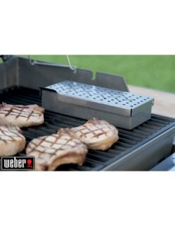 Fumoir Universel Weber Pour Barbecue à Charbon Ou Gaz -Grillissimo Magasin fumoir universel weber pour barbecue a charbon ou gaz 9