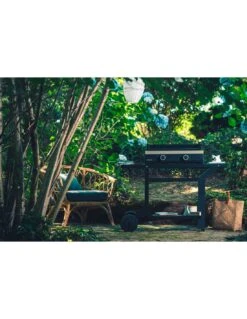 Plancha Modern G60 à Gaz Acier Noir Et Gris Clair - Forge Adour -Grillissimo Magasin plancha modern g60 a gaz acier noir et gris clair forge adour 5