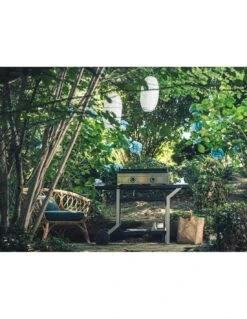 Plancha Premium G 60 Inox à Gaz - Forge Adour -Grillissimo Magasin plancha premium g 60 inox a gaz forge adour 2