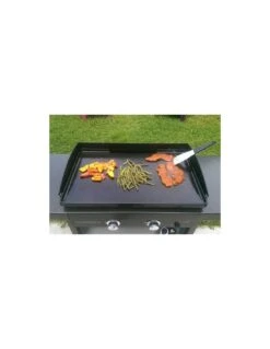Plancha Sur Chariot EX Plus à Gaz Campingaz -Grillissimo Magasin plancha sur chariot ex plus a gaz campingaz 3
