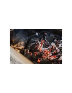 Napoleon Plateau à Charbon De Bois Et Fumaison 10 Napoleon Plateau à Charbon De Bois Et Fumaison -Grillissimo Magasin plateau a charbon de bois et fumaison 2