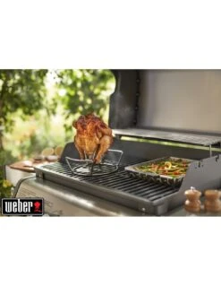 Weber Support De Cuisson Pour Poulet, Acier Inoxydable -Grillissimo Magasin support de cuisson pour poulet acier inoxydable 4