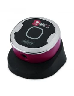 Devant -Grillissimo Magasin thermometre de cuisson igrill mini weber 1