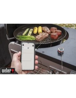 Thermomètre De Cuisson Igrill Mini - Weber -Grillissimo Magasin thermometre de cuisson igrill mini weber 6