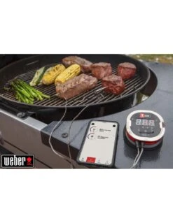 Thermomètre IGrill 2 - Weber -Grillissimo Magasin thermometre igrill 2 weber 11