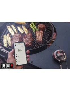 Thermomètre IGrill 2 - Weber -Grillissimo Magasin thermometre igrill 2 weber 12