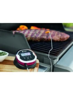 Thermomètre IGrill 2 - Weber -Grillissimo Magasin thermometre igrill 2 weber 9